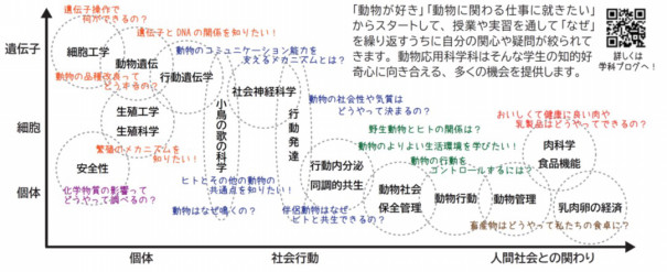 学科紹介 麻布大学 獣医学部 動物応用科学科