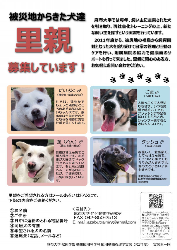 19年度 犬の里親を募集しています 麻布大学 獣医学部 動物応用科学科