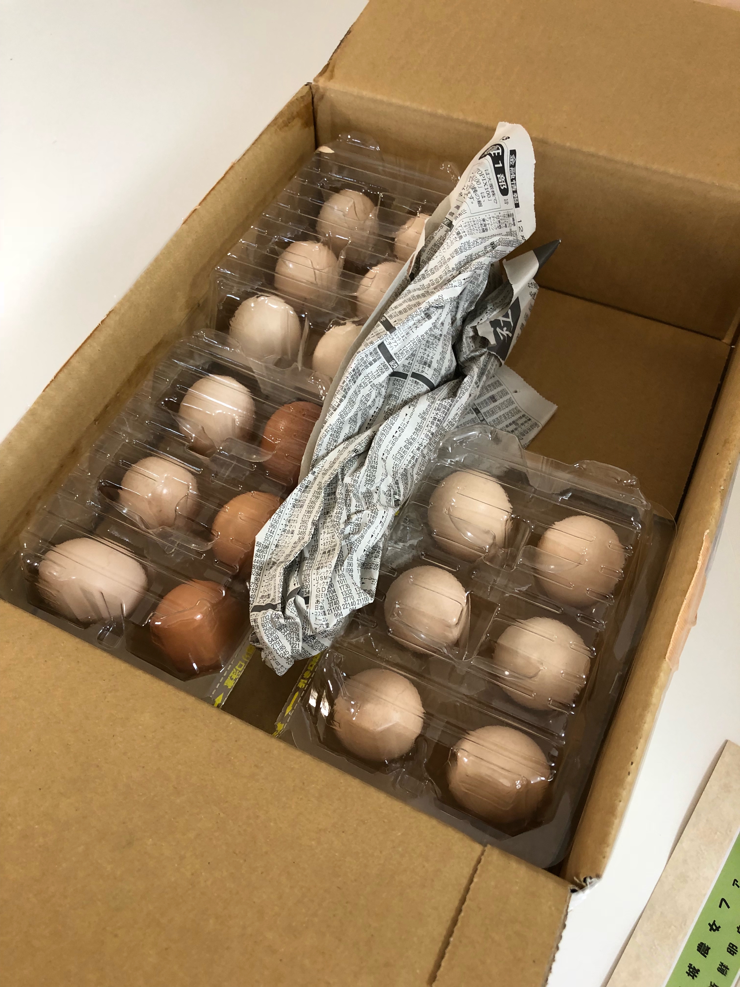 農海産物の直販テクニック〜梱包（卵）〜 | 思いが伝わる直販