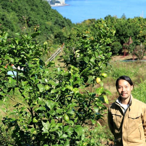 マイファームが複数地域認定農業者を取得 研修プログラムの開始で新規就農を一気通貫でサポート Newscast