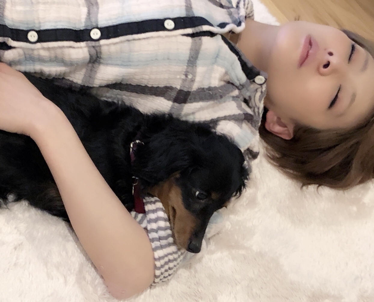 クタクタのクタの助け おしらせ