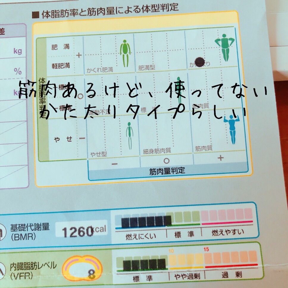 筋肉あるけど使ってない「かた太りタイプ」らしい | 住まいの