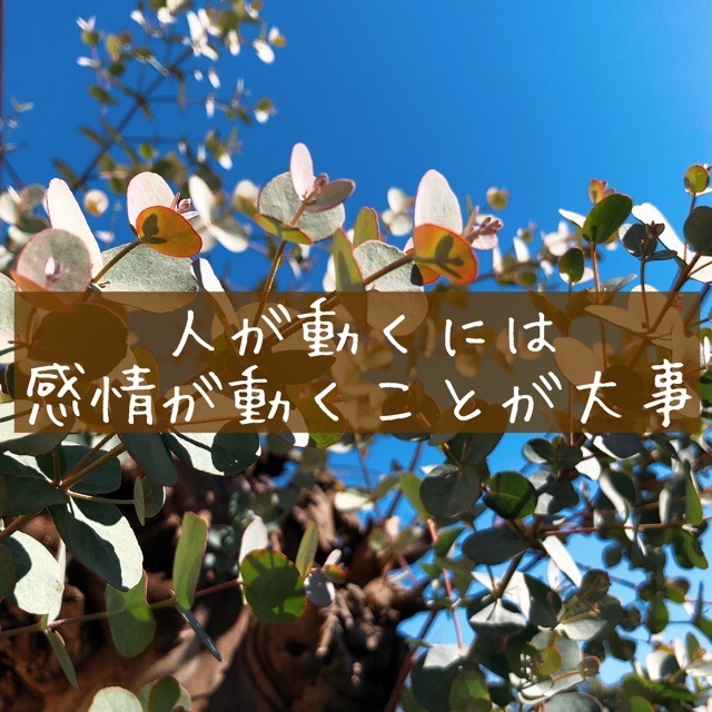 人が動くには感情が動くことが大事 住まいのおせっかい家のきままなブログ