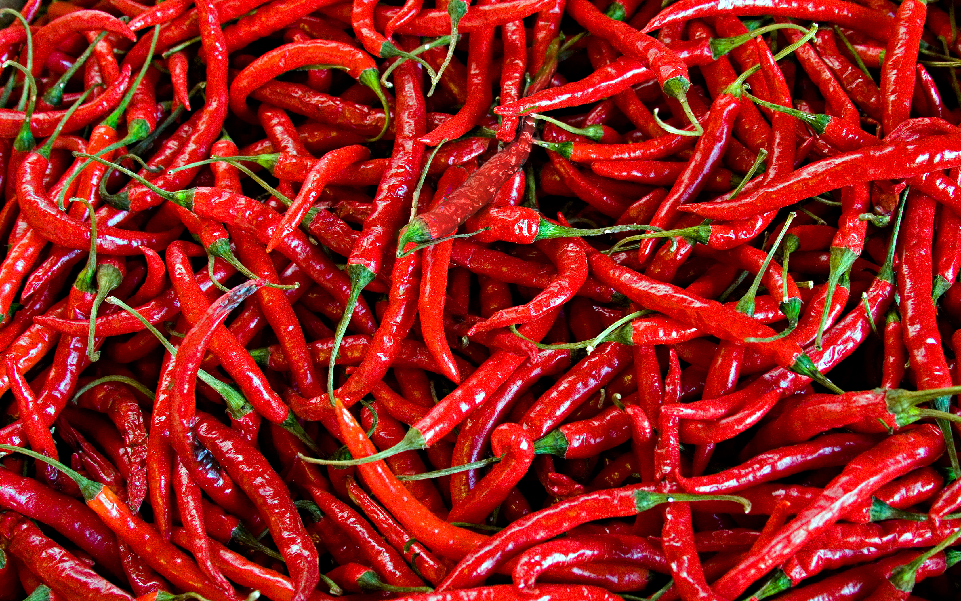 料理レシピ（料理）に関するWebメディア