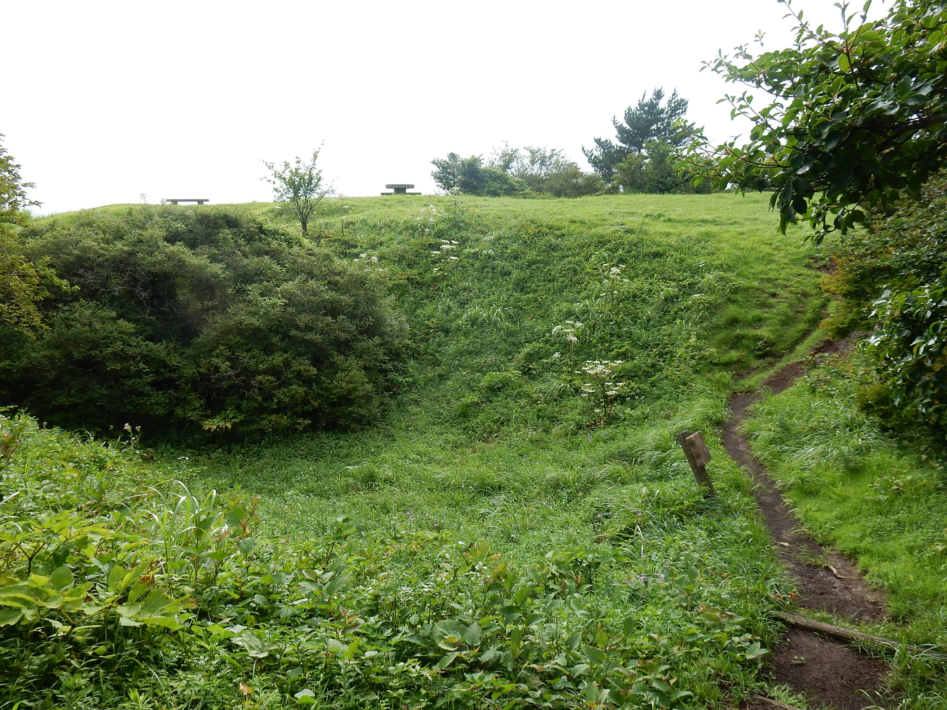 足柄城 魅惑のお城