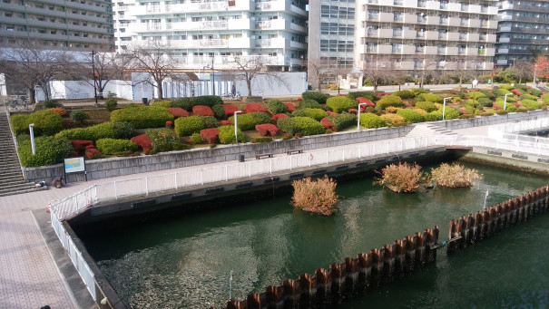 東京に行ってきました サイメシスの迷宮これから読む方はスルーしてください あいこ S Ownd Bl作品に出てくる料理を再現してつくってみた