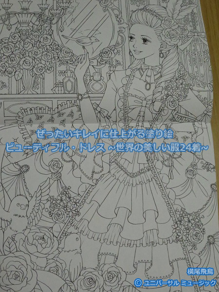 ぜったいキレイに仕上がる塗り絵 ビューティフル ドレス 世界の美しい服24着 ｂｌｕｅの ひみつのぬりえ研究室