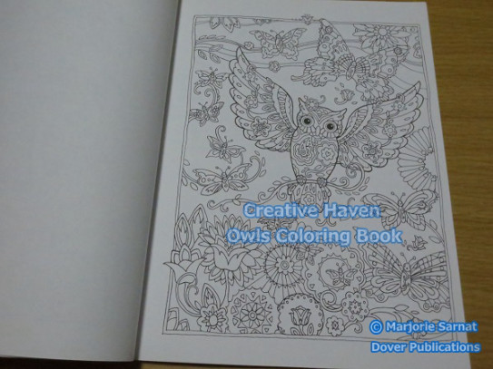 Creative Haven Owls Coloring Book ｂｌｕｅの ひみつのぬりえ研究室