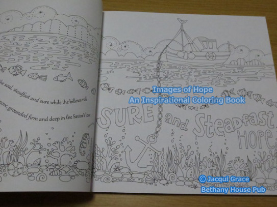 Images Of Hope An Inspirational Coloring Book ｂｌｕｅの ひみつのぬりえ研究室