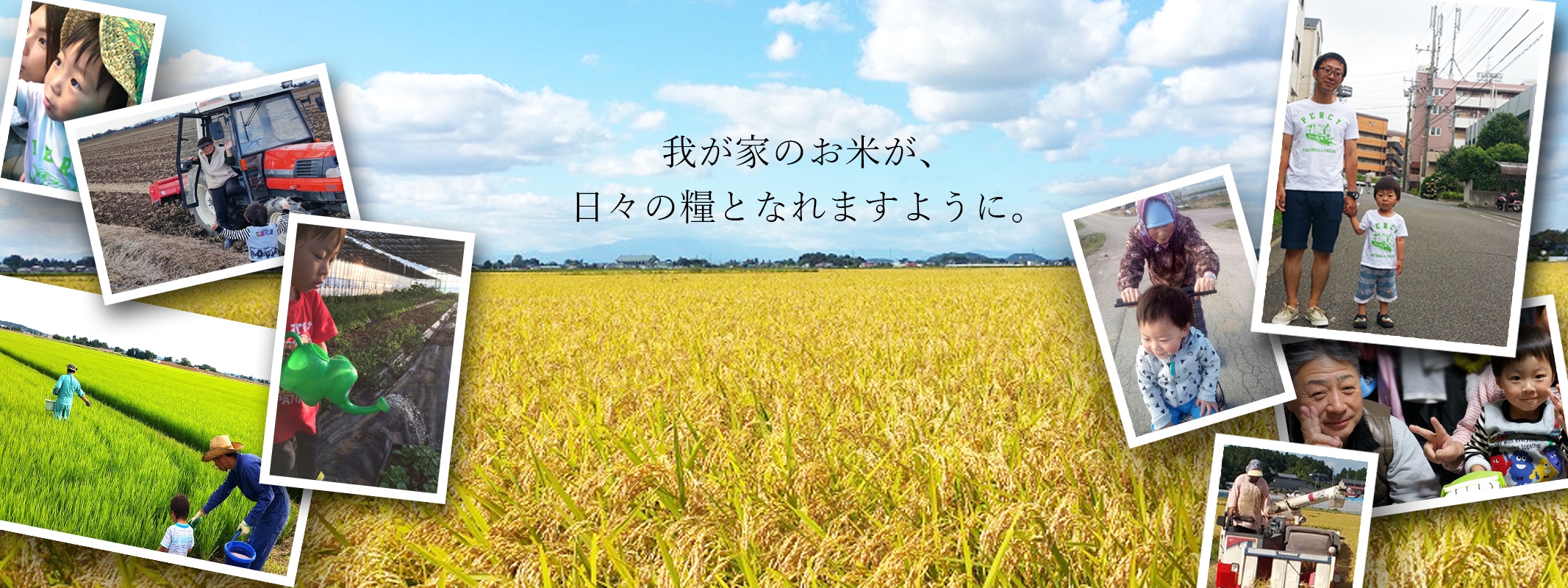 橋浦さんちの嫁。