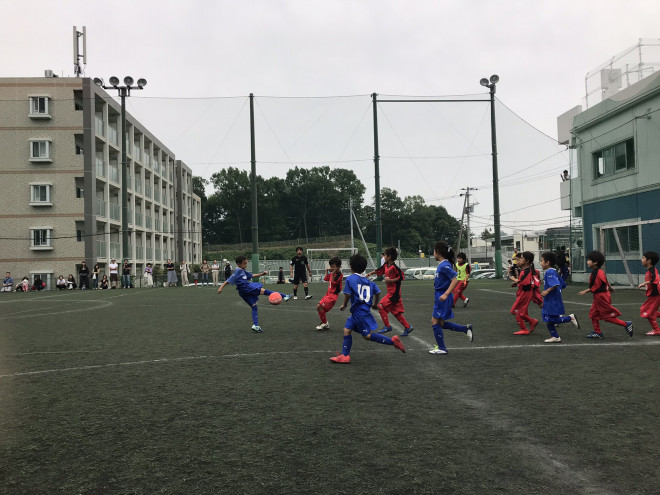 36期 2年 川崎遠征バディ杯 八王子七小サッカークラブ 八王子七小sc 東京都八王子市の少年サッカークラブ