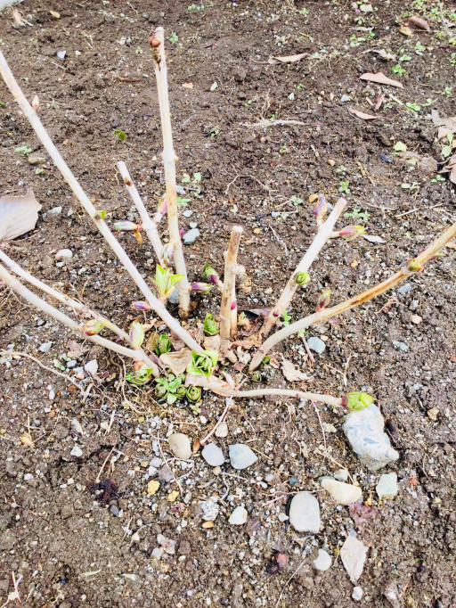 風とaoの美容室 中舘忠敏