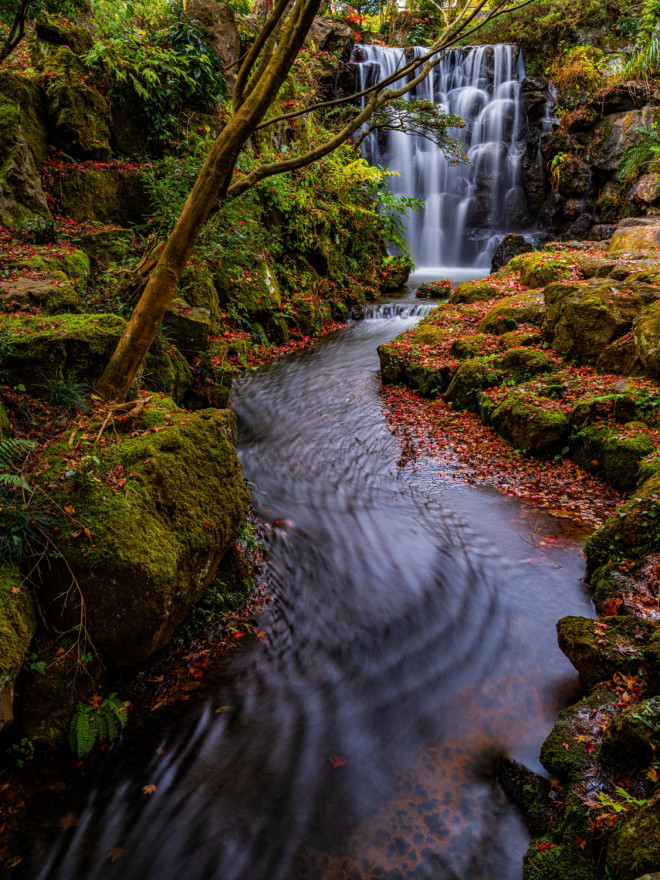 赤坂山公園と飯塚邸 Susumu Sugimoto写真館にようこそ
