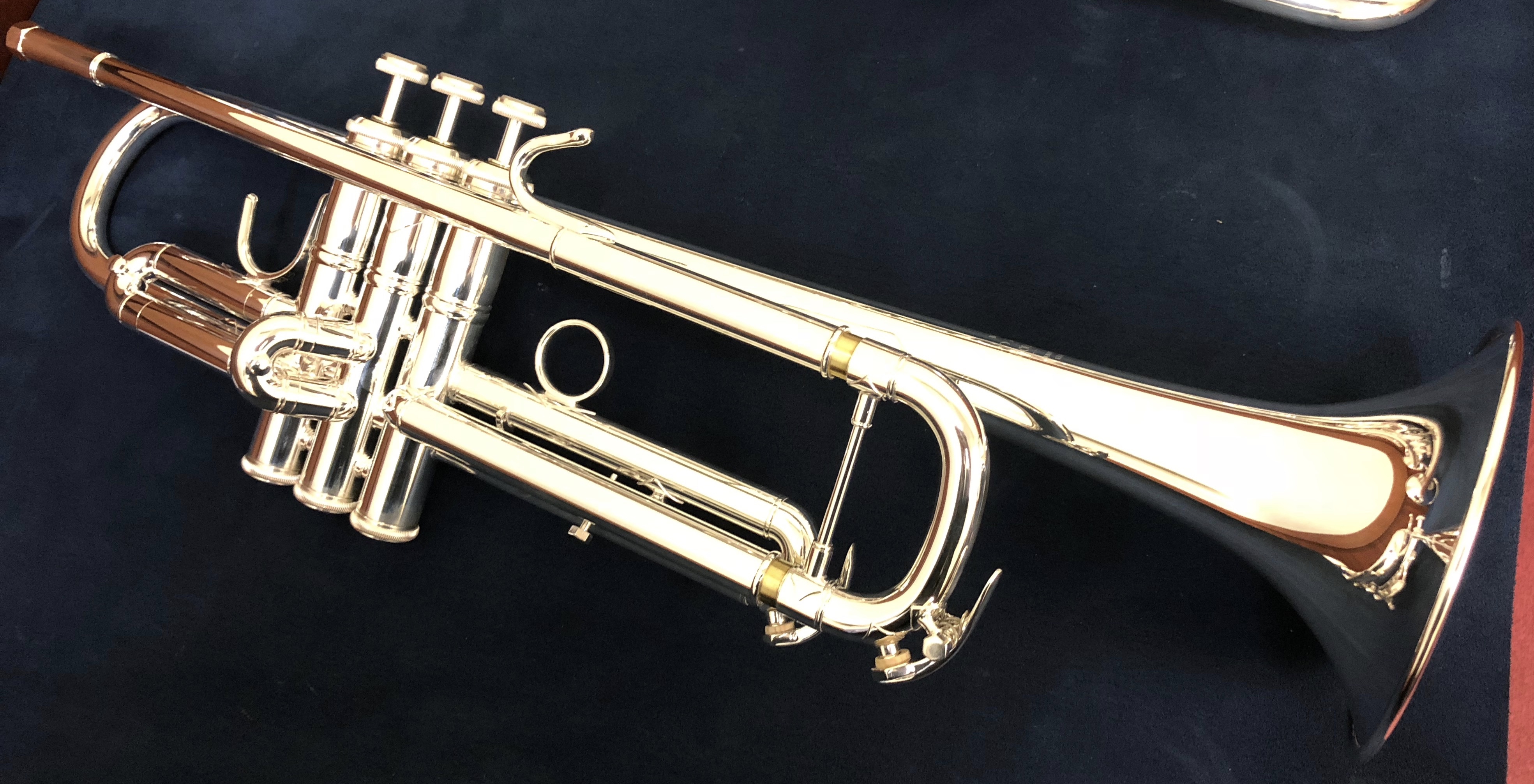 ブラックバーン Bach C管 MLボア用主管 Vincent Bach トランペット」の人気商品一覧 | 安い商品を通販