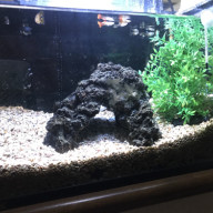 結局 無駄遣い からの 改造計画 貧乏中年の Aqua Life