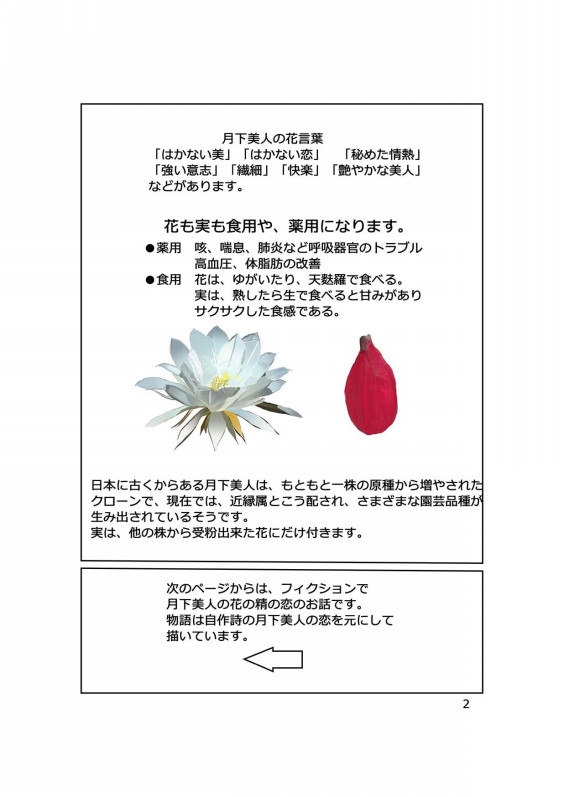 漫画 花物語 第二話 月下美人の恋 瑞穂まりのギャラリー