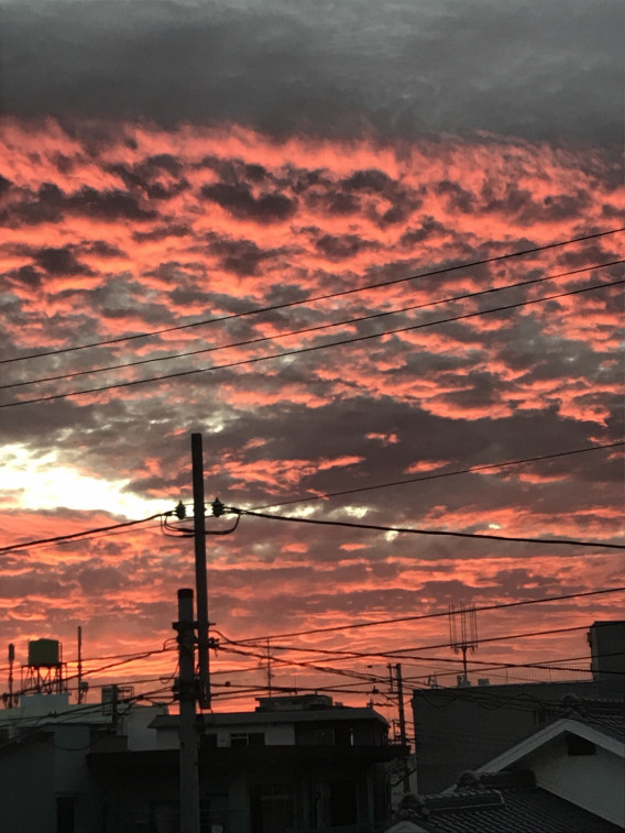 最近空綺麗やわー ソウタ 最近空綺麗やわー ソウタ