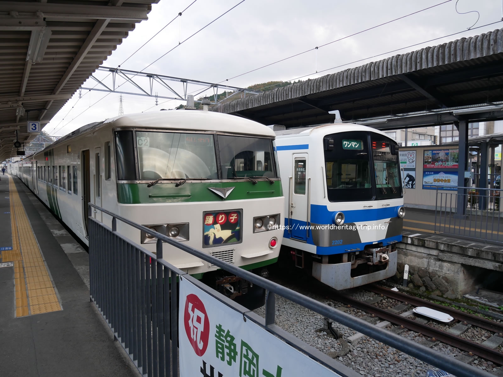 特急踊り子13号 185系 乗車記 東京駅から修善寺駅へ向かいます 伊豆 修善寺旅行ブログその1 世界遺産旅行記 今日もどこかの世界遺産 世界遺産ブログ 旅行記