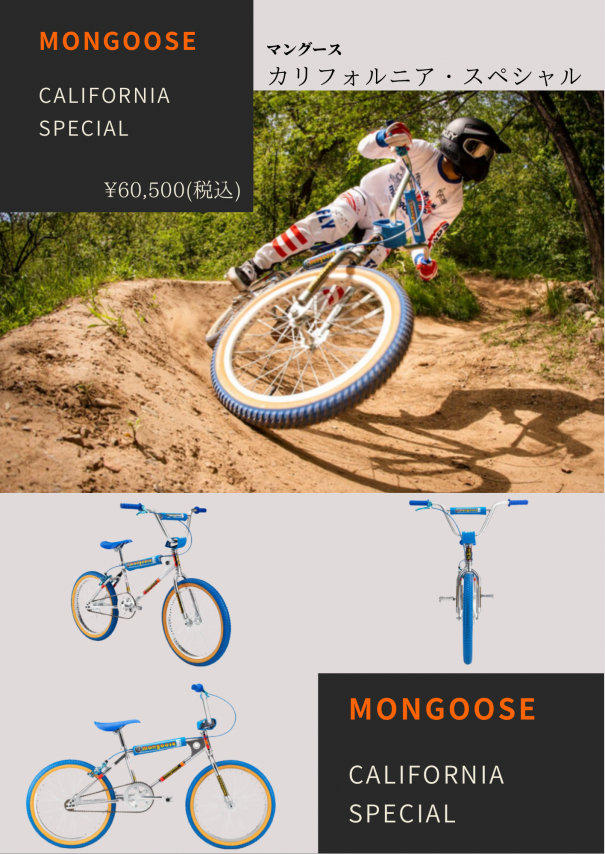 mongoose 限定モデル公開！！！！ | 自転車屋パーシモン