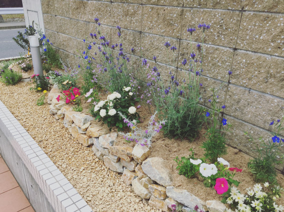 じょうどいクリニック様 花壇の植栽 やまと庭園 じょうどいクリニック様 花壇の植栽 やまと庭園
