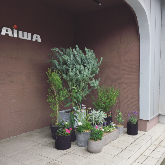 愛和不動産様 鉢植えの花壇 やまと庭園 愛和不動産様 鉢植えの花壇 やまと庭園
