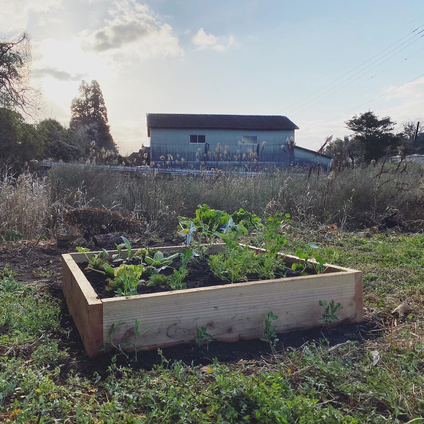 やまと庭園の小さな畑 | やまと庭園