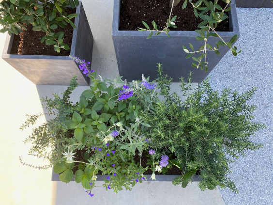 個人邸 鉢植え植栽 やまと庭園