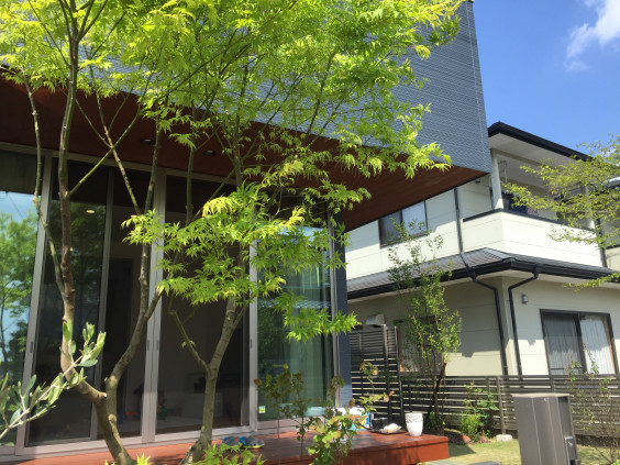 お気に入りの木と暮らす庭 やまと庭園