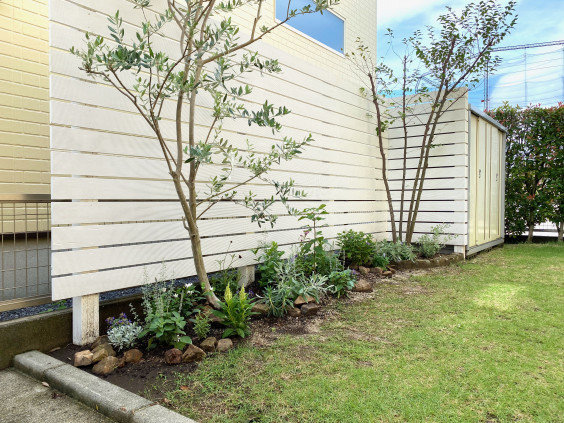 個人邸 植栽 やまと庭園