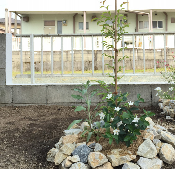 誕生記念樹を植える やまと庭園