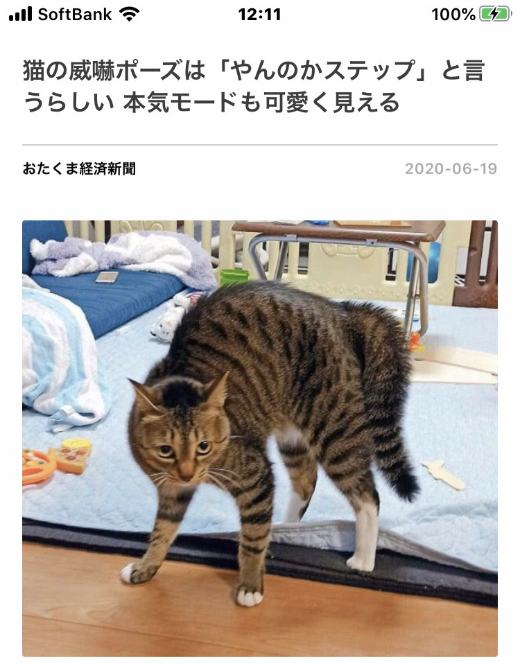 ラジオメール募集中です 余韻 ラジオメール募集中です 余韻