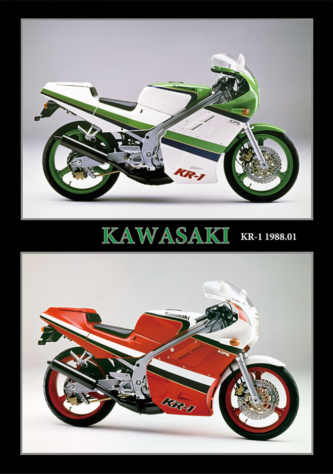 Kawasaki KR-1 リードバルブカーボン超希少