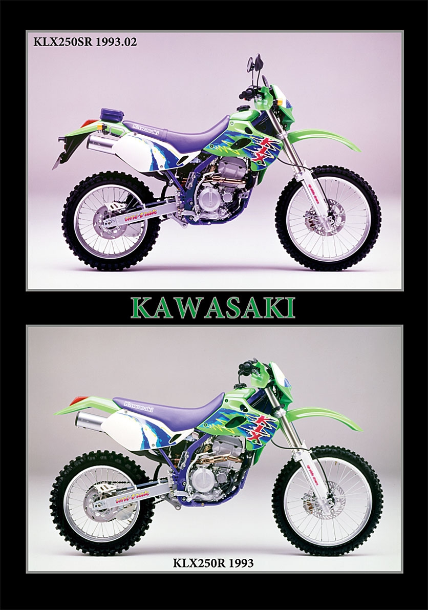 KLX Zylinder Rolle 4x8 f KA01 KDX Kawasaki KX 
