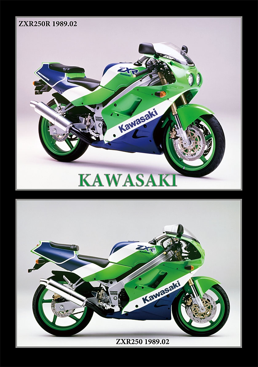 Kawasaki ZXR250 ZX250A クランキングOK エンジン レストア 組み換え 