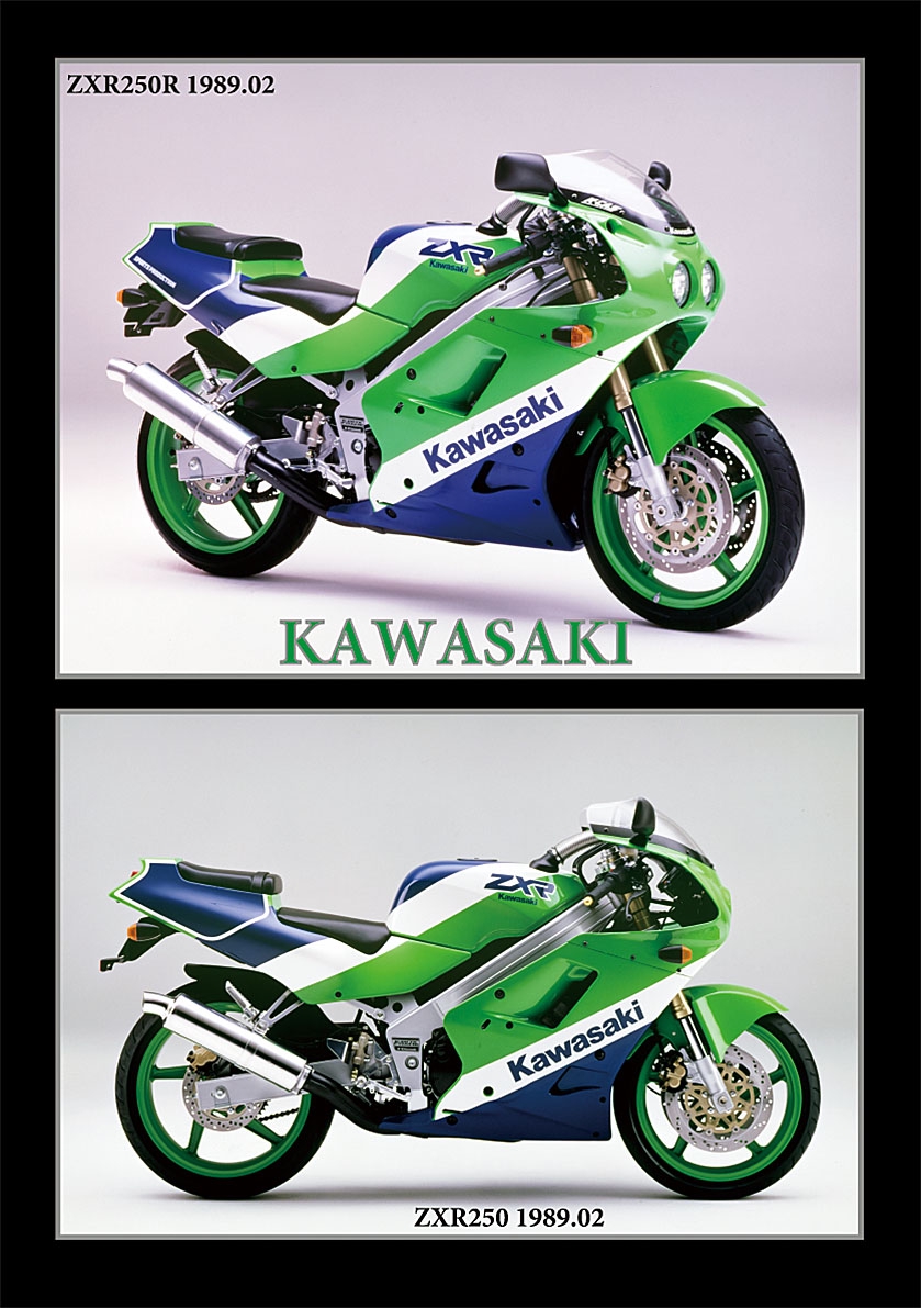 期間特売☆KAWASAKI カワサキ ZXR250A 89- 純正 フロントブレーキローター ブレーキディスク セット ストリートファイターカスタム 220221 フロント