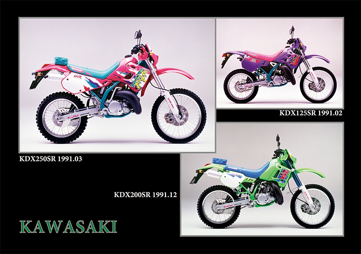 Arashi製 WAVEDISC2004 リア用 KDX125SR KDX200SR KDX220 KDX250R KDX250SR KLX250  Dトラッカー KLX300 デイスクプレート KW04RID に互換 - パーツ