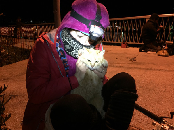 夜釣り 広島エリアコンシェルジュ