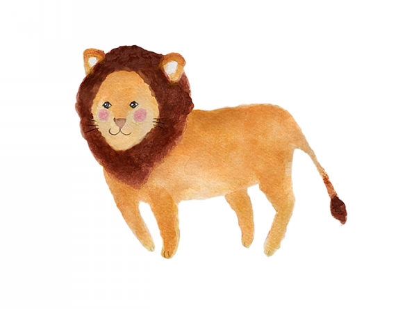 ライオン Natsumi Kobayashi