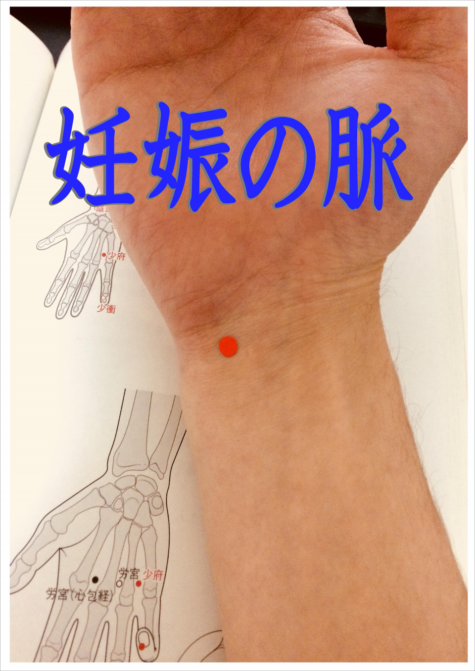 妊娠は脈でわかる なるほど東洋医学 東京鍼灸 Tokyoharikyu 鈴木のブログ
