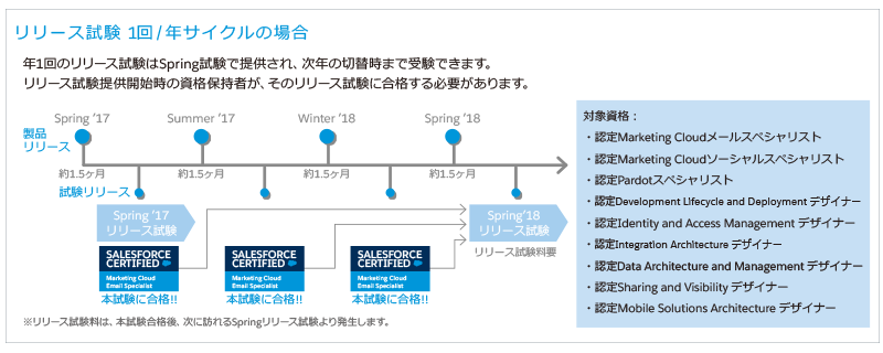 Salesforce認定資格の無料バウチャー 22000円相当！(6/9まで) - その他