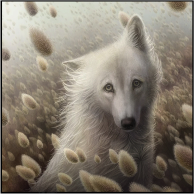 NEW RELEASE 岡田尚子