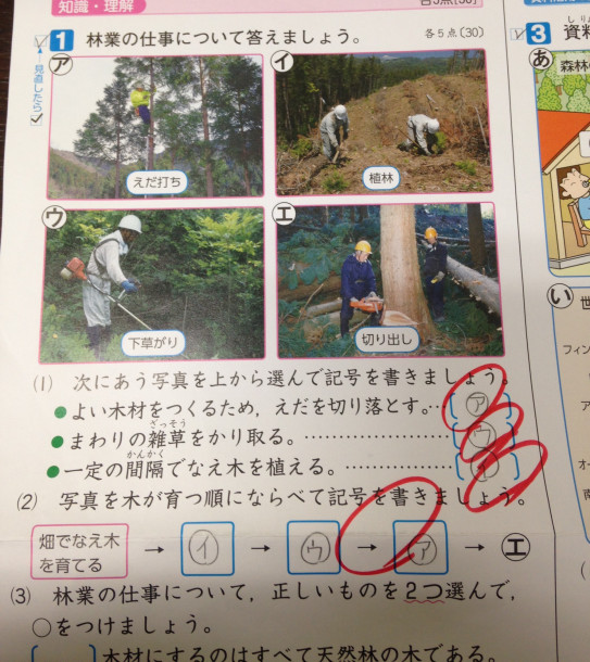 小学5年生の 林業 に関するテスト 無限進学塾