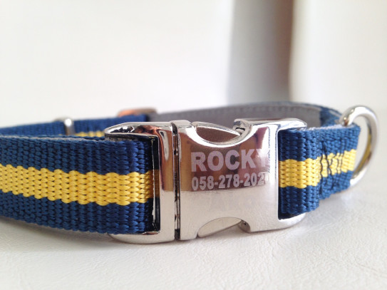 看板犬ロッキーの首輪 無限進学塾