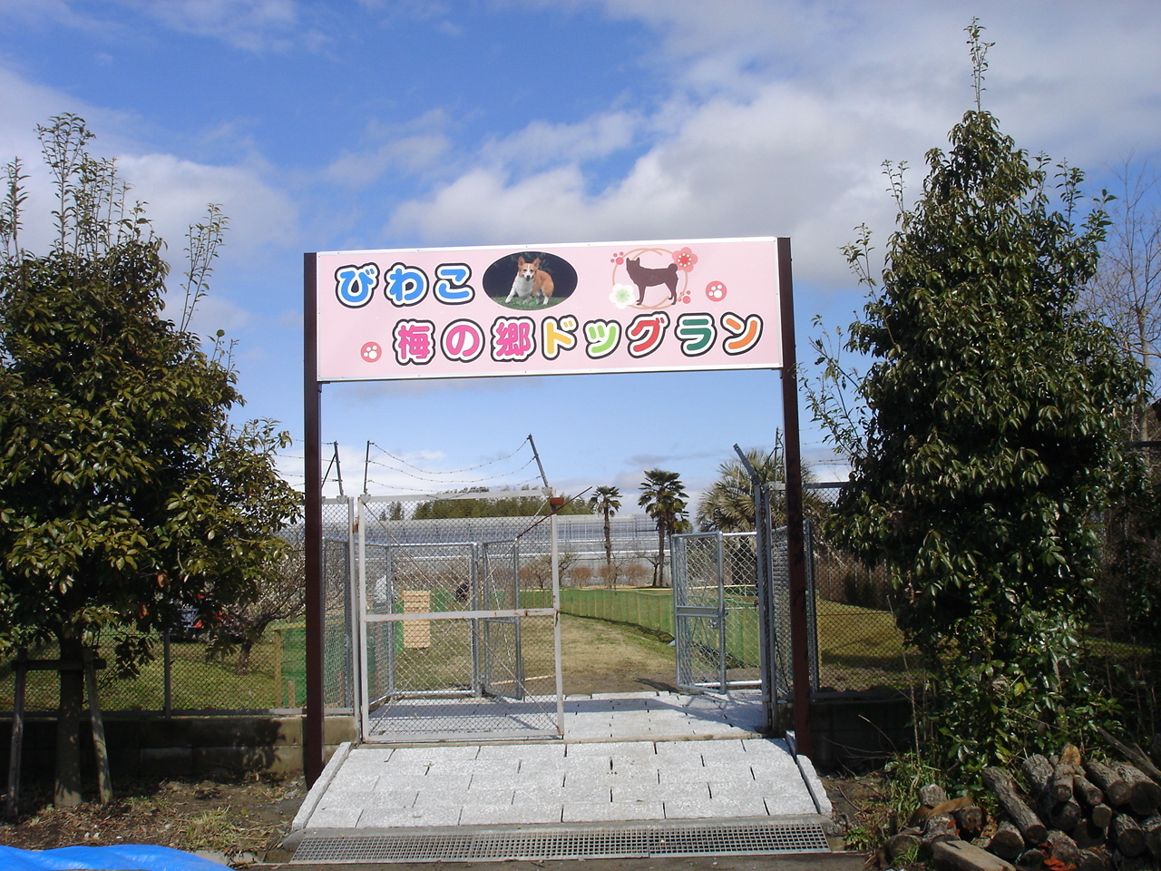 びわこ梅の郷ドッグラン ショウキカク びわこ梅の郷ドッグラン ショウキカク