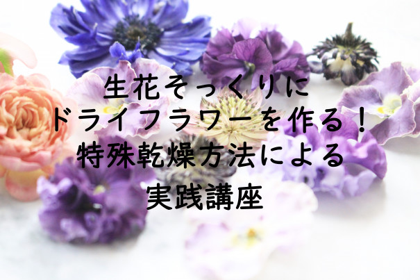 2月日開催 生花そっくりにドライフラワーを作る 特殊乾燥法実践講座 Dried Flower M S Craft