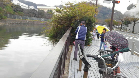 この時期の楽しみ 便利屋 湘南アウトドアサービス