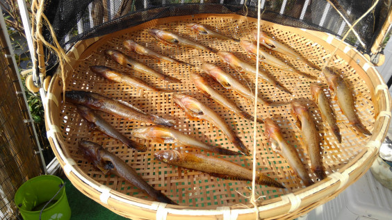 この時期の楽しみ 便利屋 湘南アウトドアサービス