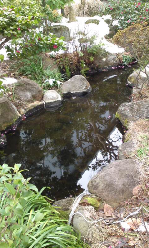 真冬の池掃除 便利屋 湘南アウトドアサービス