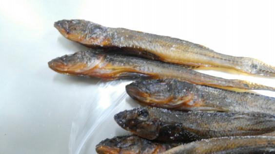 この時期の楽しみ 便利屋 湘南アウトドアサービス この時期の楽しみ 便利屋 湘南アウトドアサービス