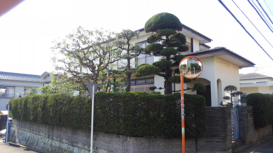 片瀬山で3日間剪定 便利屋 湘南アウトドアサービス